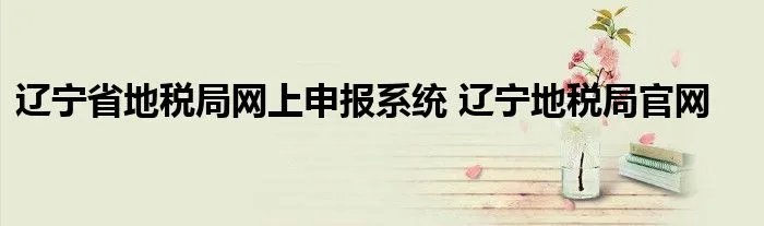 辽宁省地税局网上申报系统 辽宁地税局官网