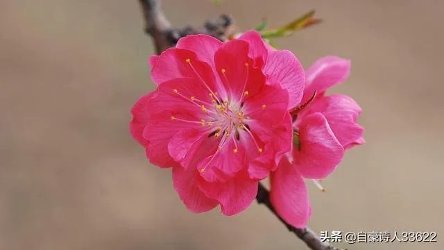 上大学，是理想的天堂，也是恋爱的天堂吗？