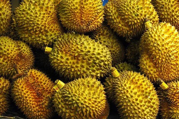 村民食用哄抢榴莲食物中毒