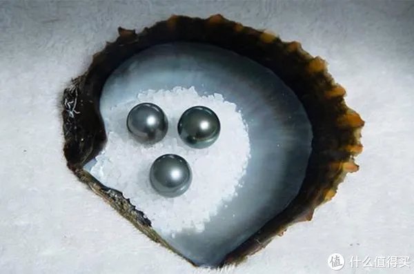 关于大溪地黑珍珠，你知道多少？