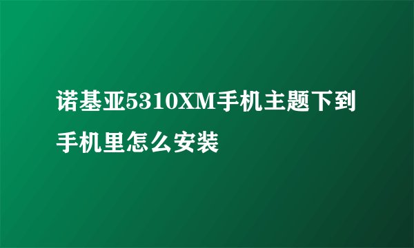 诺基亚5310XM手机主题下到手机里怎么安装