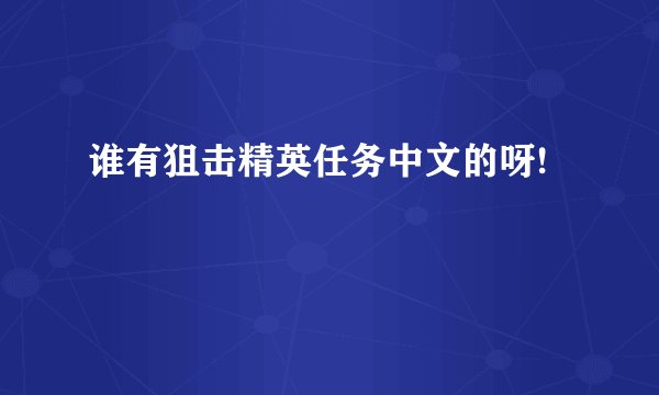 谁有狙击精英任务中文的呀!