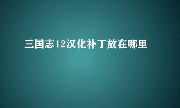三国志12汉化补丁放在哪里