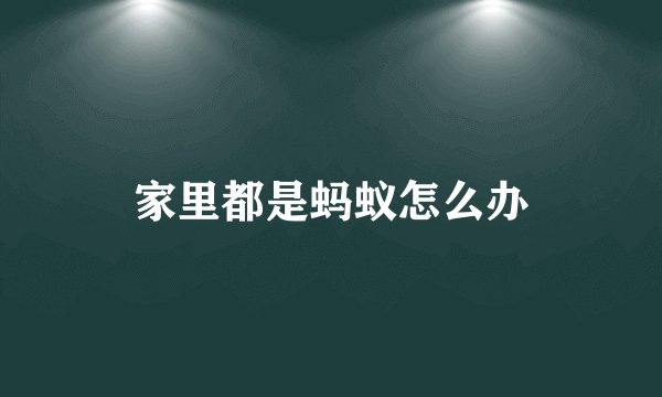家里都是蚂蚁怎么办