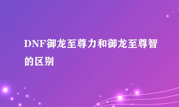 DNF御龙至尊力和御龙至尊智的区别