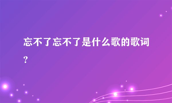 忘不了忘不了是什么歌的歌词？