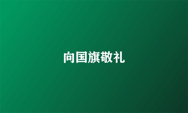 向国旗敬礼