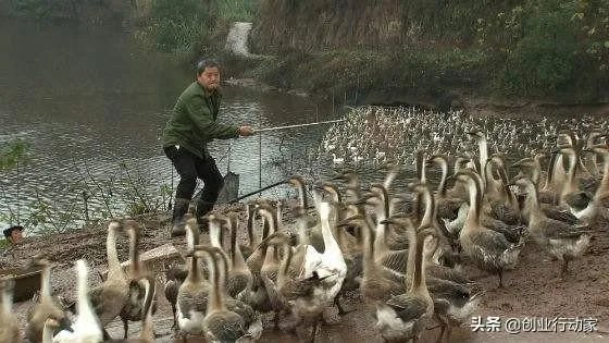 你认为中央电视台的《致富经》能让人致富吗?