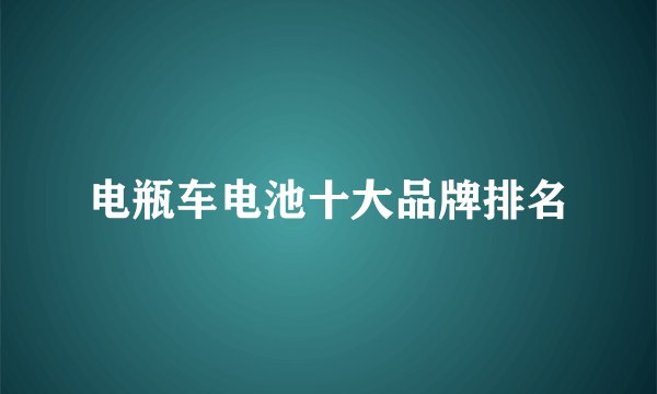 电瓶车电池十大品牌排名