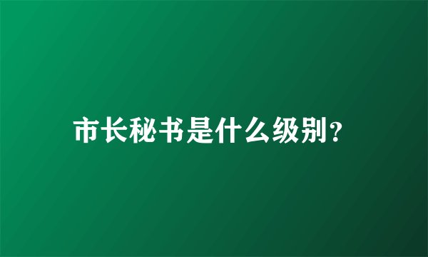 市长秘书是什么级别？
