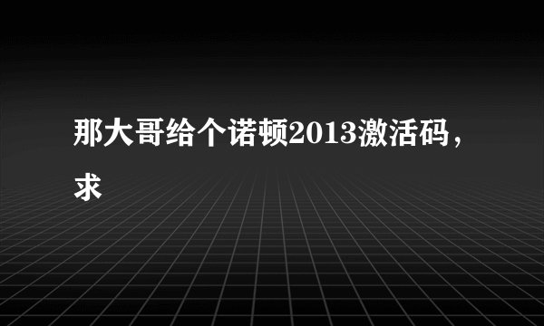 那大哥给个诺顿2013激活码，求