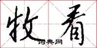收看