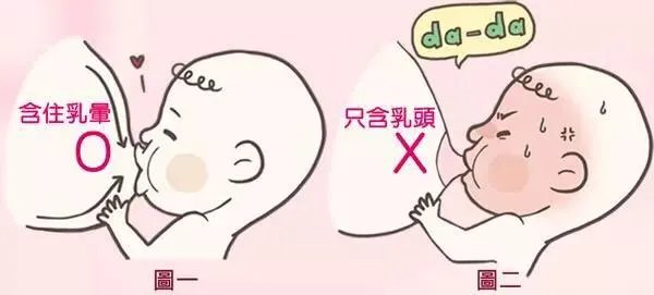 三个月宝宝应该如何喂养?