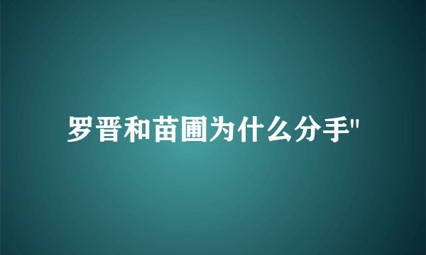 罗晋和苗圃为什么分手