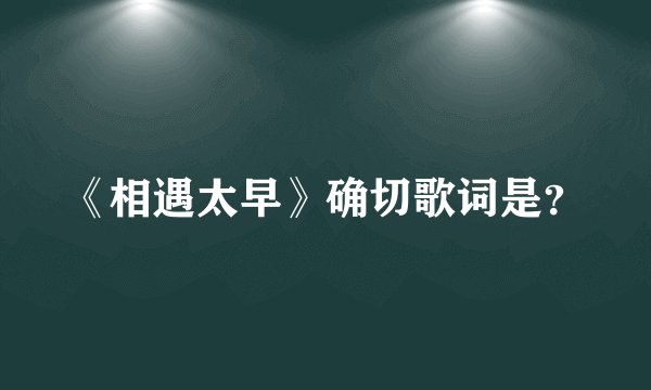 《相遇太早》确切歌词是？