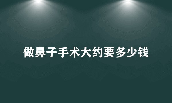做鼻子手术大约要多少钱