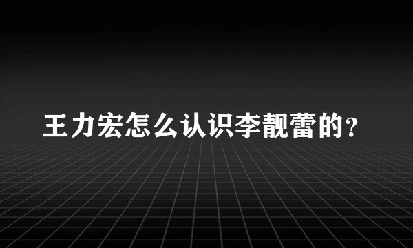 王力宏怎么认识李靓蕾的？