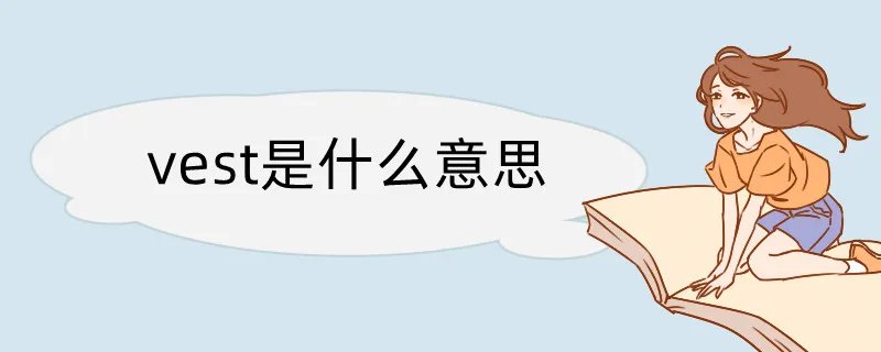 vest是什么意思