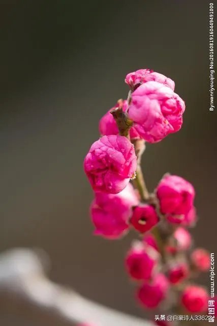 上大学,是理想的天堂,也是恋爱的天堂吗?