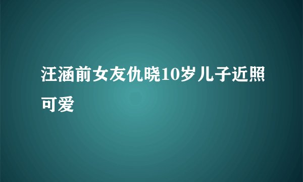 汪涵前女友仇晓10岁儿子近照可爱