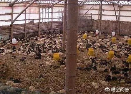 你认为中央电视台的《致富经》能让人致富吗?