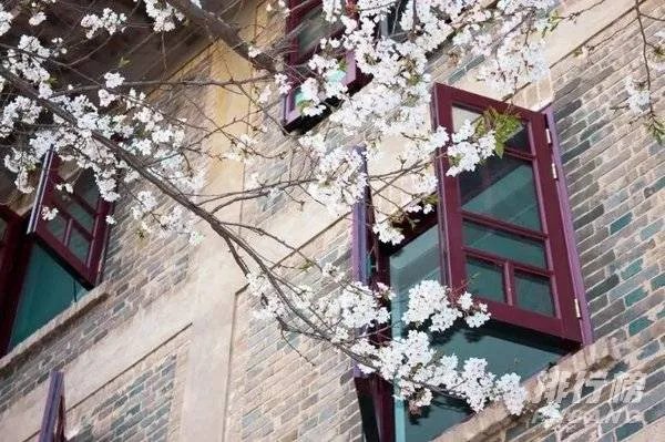 中国最美的十所大学排名_全国最美大学排名最新