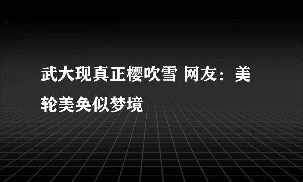 武大现真正樱吹雪 网友：美轮美奂似梦境
