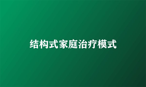结构式家庭治疗模式
