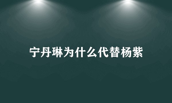 宁丹琳为什么代替杨紫