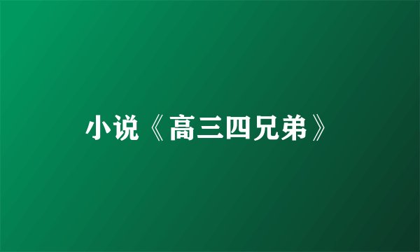 小说《高三四兄弟》