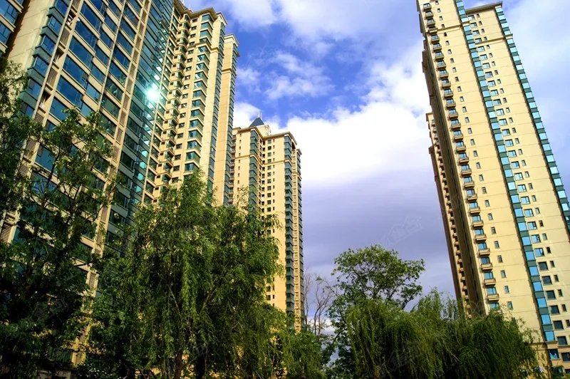 沈阳房子限购吗