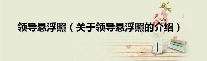领导悬浮照（关于领导悬浮照的介绍）