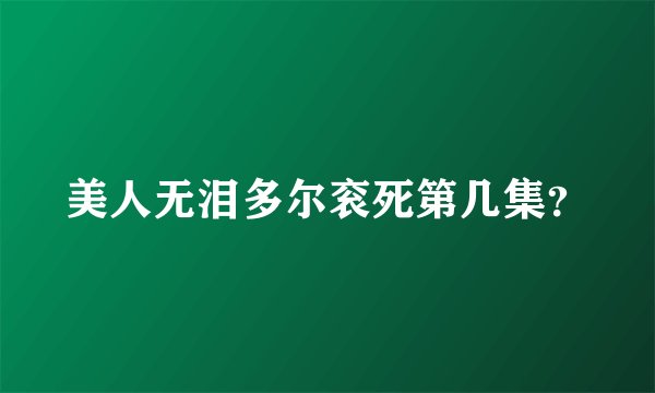 美人无泪多尔衮死第几集？