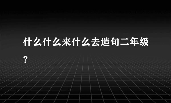什么什么来什么去造句二年级？