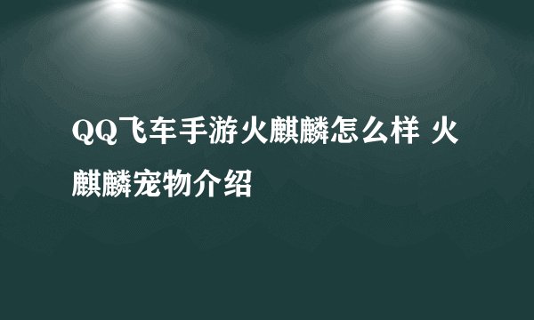 QQ飞车手游火麒麟怎么样 火麒麟宠物介绍