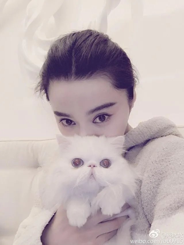 娱乐圈有哪些本来就长得很好看却还整容的明星?