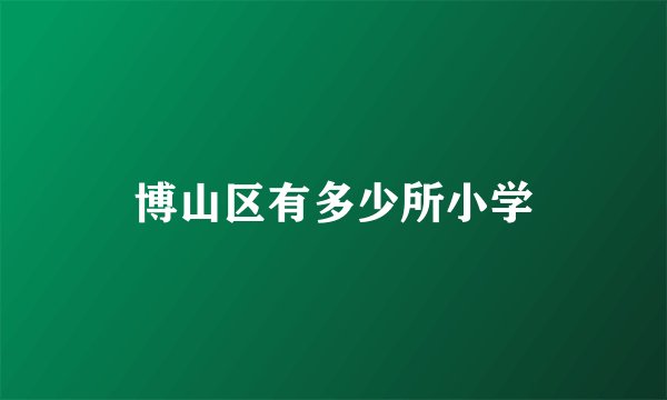 博山区有多少所小学