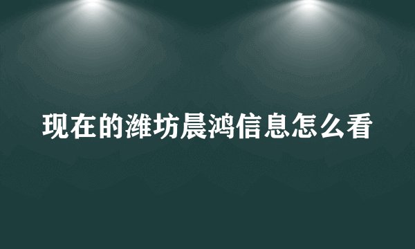 现在的潍坊晨鸿信息怎么看