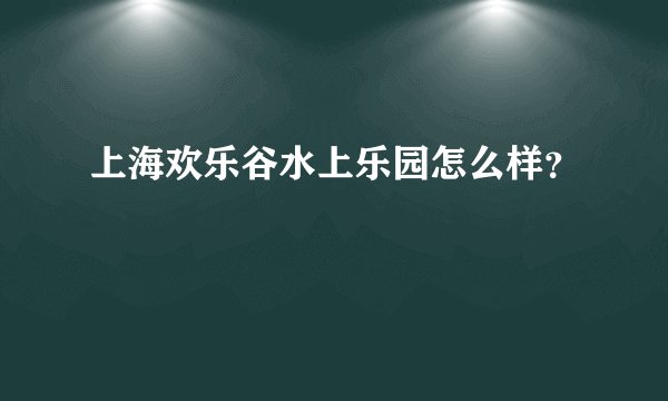 上海欢乐谷水上乐园怎么样？