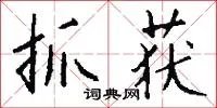 抓获
