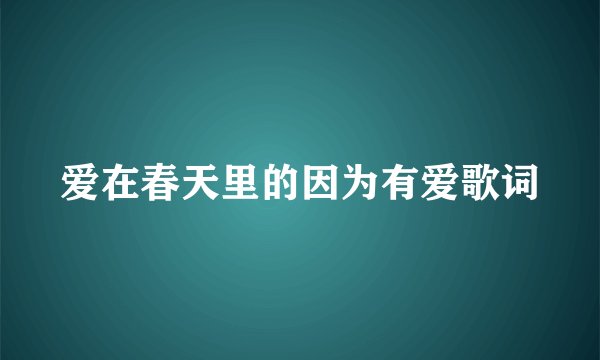 爱在春天里的因为有爱歌词