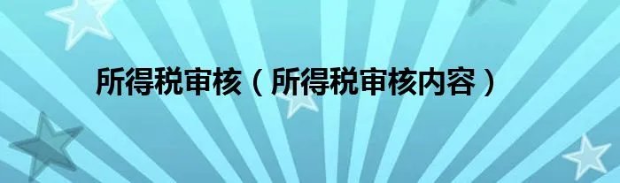 所得税审核（所得税审核内容）