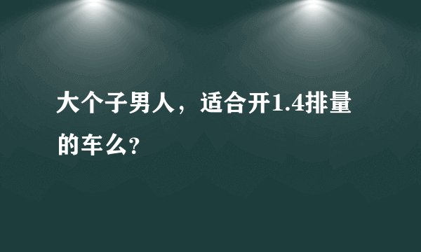 大个子男人，适合开1.4排量的车么？