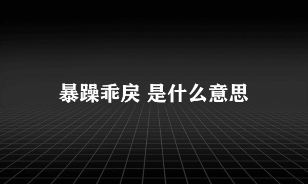 暴躁乖戾 是什么意思