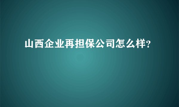 山西企业再担保公司怎么样？