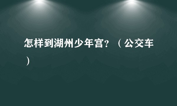 怎样到湖州少年宫?(公交车)