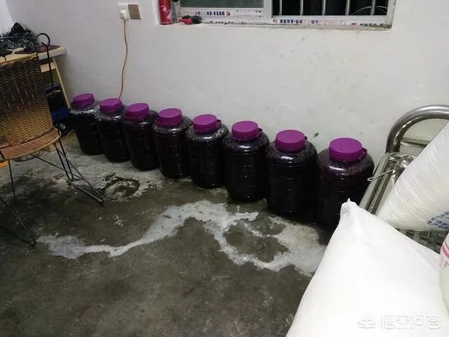 如何打造生态休闲农业园项目?