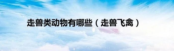 走兽类动物有哪些（走兽飞禽）