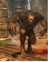 恶魔城:暗影之王 全剧情日记翻译 角色怪物图鉴