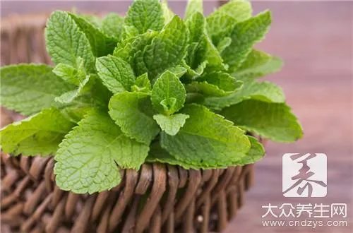 薄荷热量